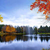 Image of Scott 3HP Fountain with Jet Stream Pattern Operating in a Pond with Trees at the Back 13220