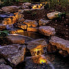 Image of Atlantic Warm White Compact Spotlight - 4 Watt-LED Lights for Pond and Garden Lighting Sample Installation WWCS4