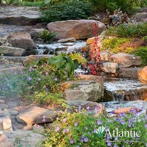 Atlantic Water Gardens Extra Large Pond Kits PK382025 and PK382530 Sample Installation