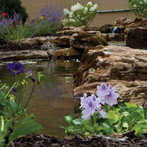 Atlantic Water Gardens Large Pond Kits PK261520 and PK262020 Sample Installation