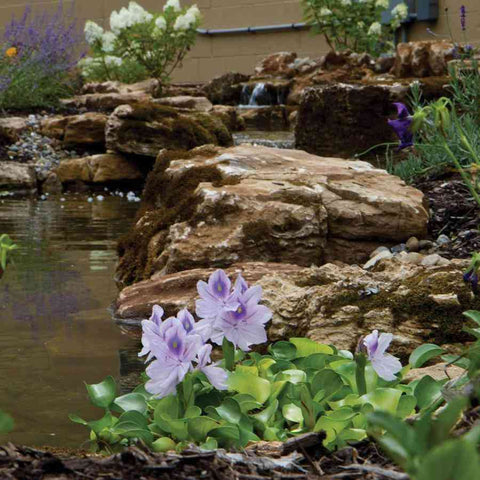 Atlantic Water Gardens Medium Pond Kits PK191515 PK191520 Sample Installation