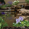 Image of Atlantic Water Gardens Small Pond Kits PK161015 and PK161515 Sample Installation