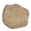 Image of Atlantic Water Gardens Small Rock Lid Desert RL30D