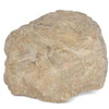 Image of Atlantic Water Gardens Small Rock Lid Great Lakes RL30G