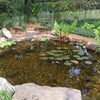Image of EasyPro Eco-Series pond kit-Complete for a 10' x 15' pond EPK1015 Sample Installation