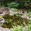 Image of EasyPro Eco-Series pond kit-Complete for a 10' x 15' pond EPK1015 Sample Installation