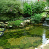 Image of EasyPro Eco-Series pond kit-Complete for a 15' x 20' pond EPK1520 Sample Installation
