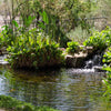 Image of EasyPro Eco-Series pond kit-Complete for a 15' x 20' pond EPK1520 Sample Installation