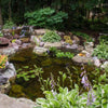Image of EasyPro Eco-Series pond kit-Complete for a 15' x 20' pond EPK1520 Sample Installation