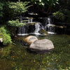 Image of EasyPro Eco-Series pond kit-Complete for a 15' x 20' pond EPK1520 Sample Installation