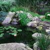 Image of EasyPro Eco-Series pond kit-Complete for a 6' x 6' pond EPK66 Sample Installation