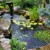 Image of EasyPro Eco-Series pond kit-Complete for a 6' x 6' pond EPK66 Sample Installation