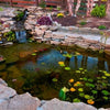 Image of EasyPro Eco-Series pond kit-Complete for a 6' x 6' pond EPK66 Sample Installation