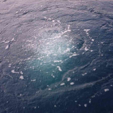 EasyPro Sentinel PA34-2 Deluxe Pond Aeration System Up To 2 Acres-bubbler PA34-2D PA34-2DP Sample Installation