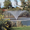 Image of Kasco 1HP Aerating Fountain 4400VFX with V-Shape Pattern Operating in a Pond Surrounded by Plants 115V/230V