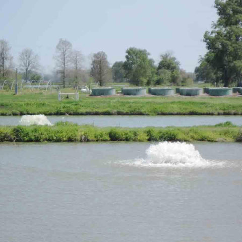 Kasco 3-Phase 2HP Surface Aerator 2.3AF Operating in a Pond