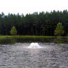 Image of Kasco 3/4HP Surface Aerator 3400AF Operating in a Pond with Trees at the Back 115V/230V