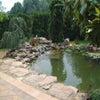 Image of EasyPro Large Pond Kit - Complete for 34' X 34' Pond EL3434 Sample Installation