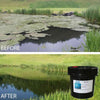 Image of Pond with the Before and After effects of Macro-Zyme MZ25