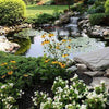 Image of EasyPro Medium Pond Kit - Complete for 16' X 16' Pond EM1616FB Sample Installation