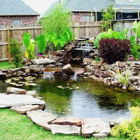 EasyPro Medium Pond Kit - Complete for 16' X 16' Pond EM1616FB Sample Installation