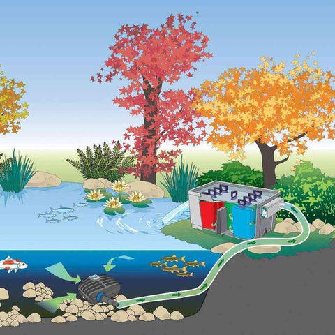 Oase AquaMax Eco Classic 2700 Pond Pump Suggested Installation 57621