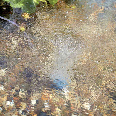 Oase AquaOxy 450 Aeration Pump for Ponds In Action 50041