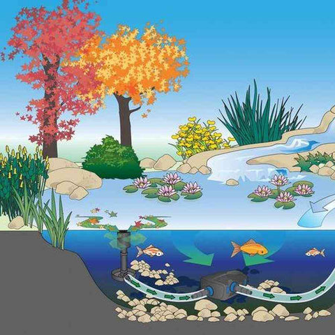 Oase AquaSkim 40 Pond Skimmer 57395 Suggested Installation