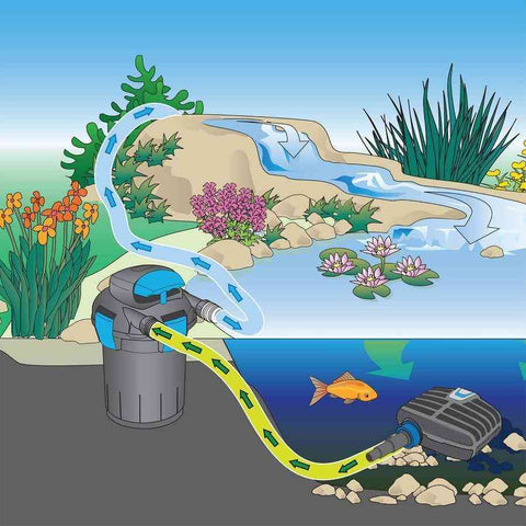 Oase BioPress UVC 1000 Pressure Filter with UV Light-Filters 45451 Suggested Installation