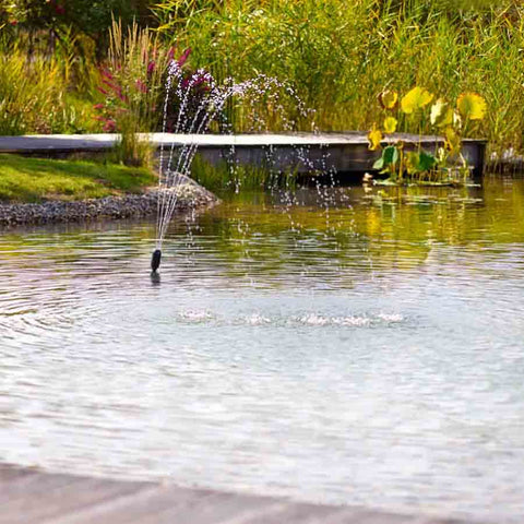 Oase Filtral UVC 400 with Pump 76004 Sample Installation