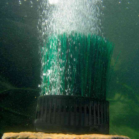 Oase OxyTex Air Pump Diffuser 51075 Sample Installation