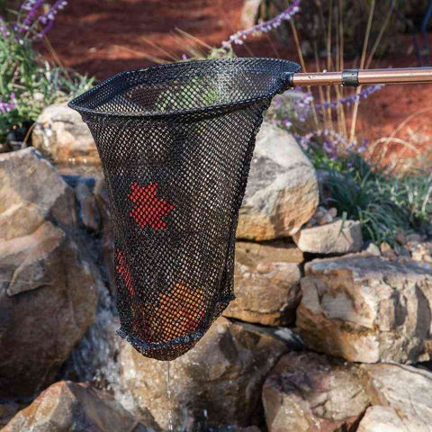 Oase Pond Net for Cleaning and Maintenance 46934 Sample Use