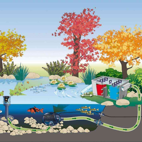 Oase Tradux Bulk Head Fitting Connector for Tubing or Cords 42750 Suggested Installation