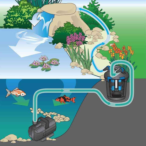 Oase Waterfall Pump 1650 45421 Suggested Installation
