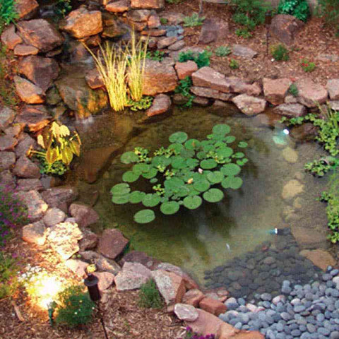 Savio 11 ft. x 16 ft. DIY Pond Kit Model PP1500 Sample Installation