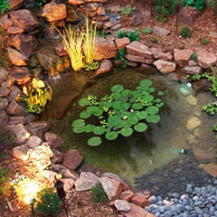Savio 11' x 11' Pond Package PP1050