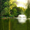 Image of Scott 3HP Display Aerator Operating in a Pond Surrounded by Trees 14029