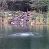 Image of Scott Bubble Pro Max Operating in a Pond with a Man-Made Waterfall and Trees at the Back 44100