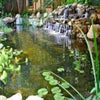 Image of EasyPro Small Pond Kit - Complete for 11' X 16' Pond ES16AFB Sample Installation