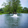 Image of Scott 1-1/2HP Boilermaker Surface Aerator Operating in a Pond with Trees at the Back 14035
