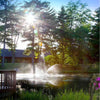 Image of Scott 1HP Pond Fountain Skyward Pattern by Scott Aerator Operating in a Pond with Trees at the Back 13008