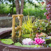 Image of Aquascape Deer Scarer Bamboo Fountain Sample Installation