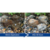 Image of Aquascape Rock and Fountain Cleaner Before and After