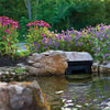 Image of Altantic Water Gardens Skimmer 14"Weir, 15,000 GPH For Ponds Sample Installation PS15000