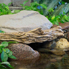 Aquascape Faux Driftwood 30" Sample Application 78276