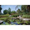 Image of Aquascape Large 21 ft. x 26 ft. Pond Kit with Pro 4000-8000 Pump Installed 53036