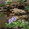Image of Atlantic Water Gardens Medium Pond Kits PK191515 PK191520 Sample Installation