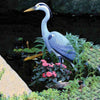 Image of Aquascape Blue Heron Decoy 81030 Installed in a Pond