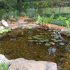Image of EasyPro Eco-Series pond kit-Complete for a 10' x 15' pond EPK1015 Sample Installation 