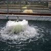 Image of Kascco 1/2HP Surface Aerator 2400AF Operating in a Water Facility